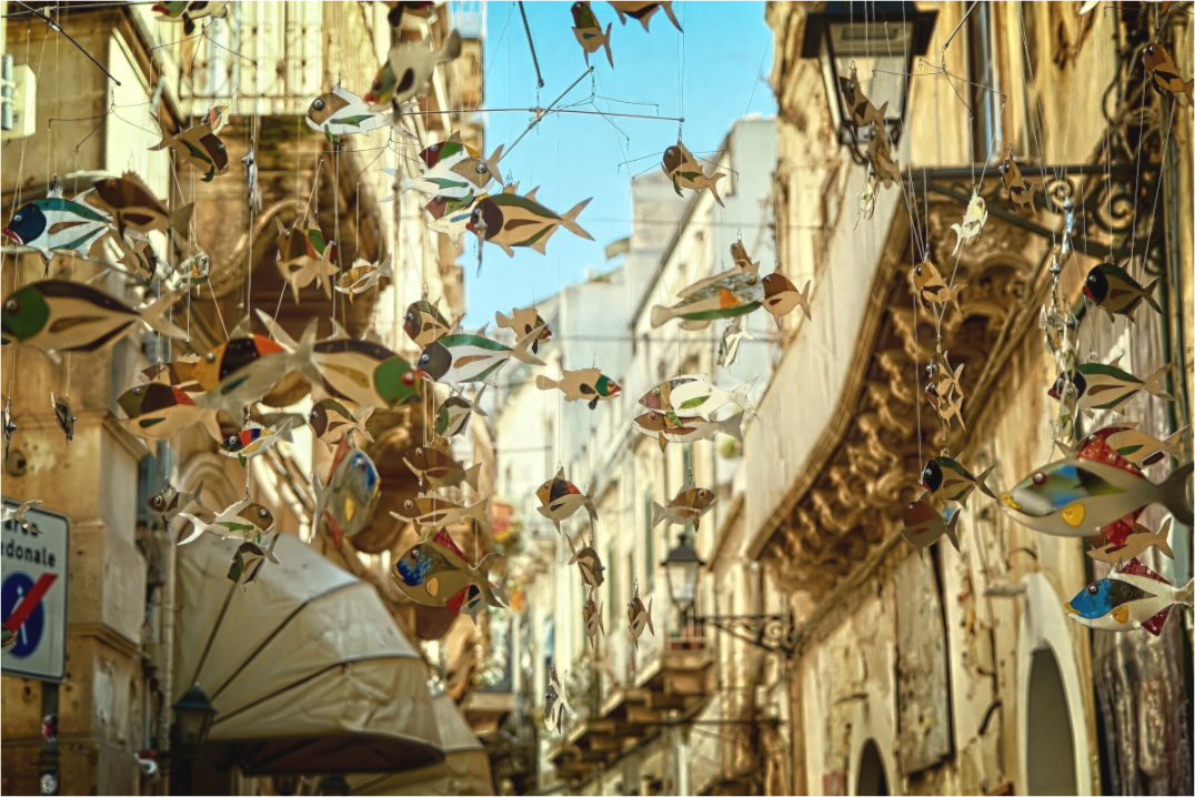 Main image Street of Fish